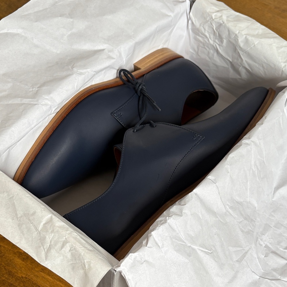 Everlane Women's Blue Flats
